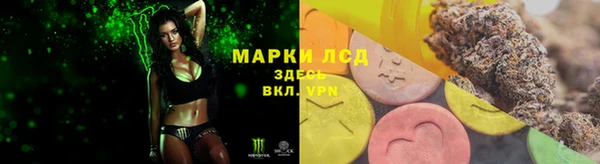 стафф Абинск