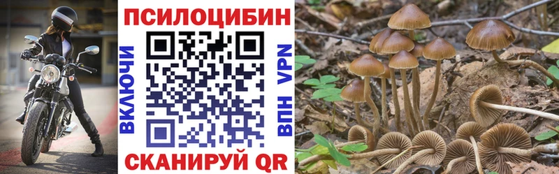 OMG ССЫЛКА  Ивангород  Галлюциногенные грибы Psilocybine cubensis 